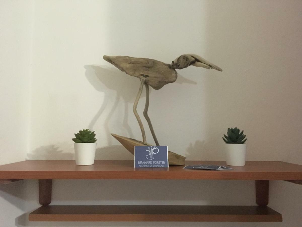 Apartmán Il Mio Piccolo Angolo Di Mare Viareggio Exteriér fotografie